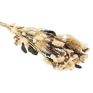 Trockenblumen-Sortiment "Rama", anthrazit