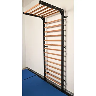 ARTIMEX Sprossenwand mit Klimmzug für Physiotherapie und Gymnastik - Wird in Heimen, Fitnessstudios, Kliniken und Fitnesscentern verwendet - aus Metall/Holz, Artikelnr. 277