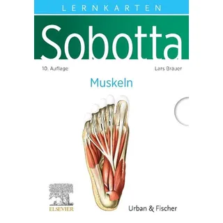 Sobotta Lernkarten Muskeln von Lars Bräuer / Urban & Fischer/Elsevier / Sonstige