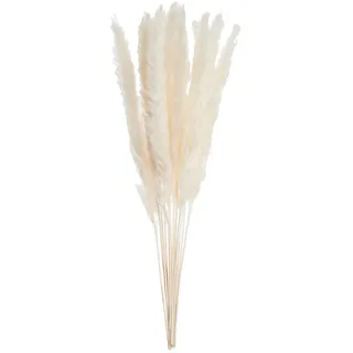 Butlers Trockenblumen, Beige, Naturmaterialien, 30 cm, Dekoration, Blumen & Zubehör, Trockenblumen