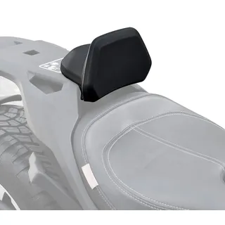 1Up Fahrer-Rückenlehne für Can-Am Ryker, SAUTVS Sport Driver Rückenlehne Kit für Can Am Ryker 600 900 & Ryker Rally 2019–2022 Zubehör (1 Stück, ersetzt #219400960)