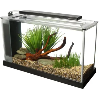 Fluval Spec 5 Nano 19,0 l Aquarium schwarz